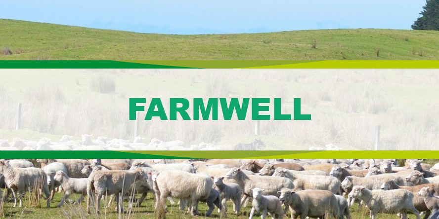 Projektek_888_500_Rajztábla 1 másolat 14