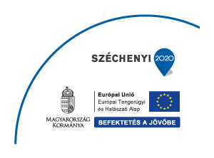 project-dcf_sz2020