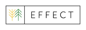 project-effect