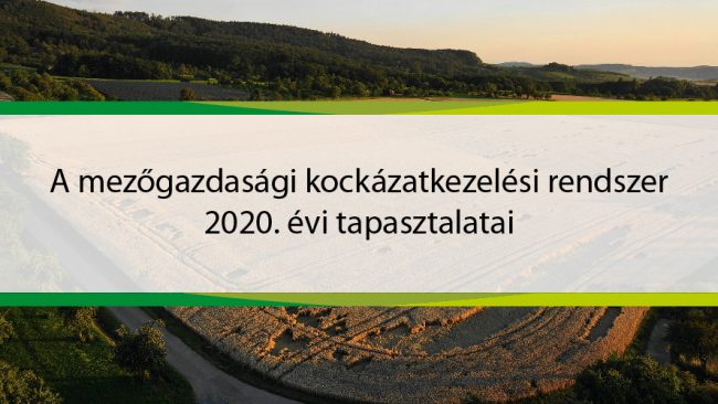 kockazat workshop