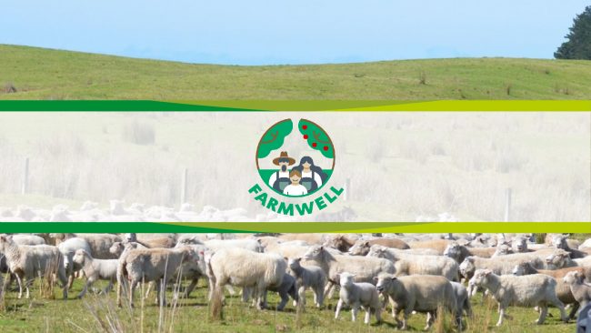 Projektek_888_500_Rajztábla 1 másolat 14