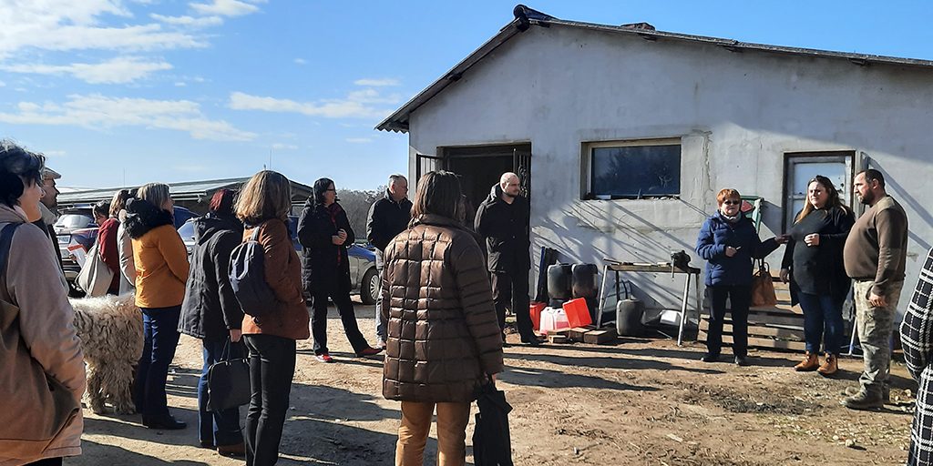 Csabanak_1_16_9_arany_72dpi