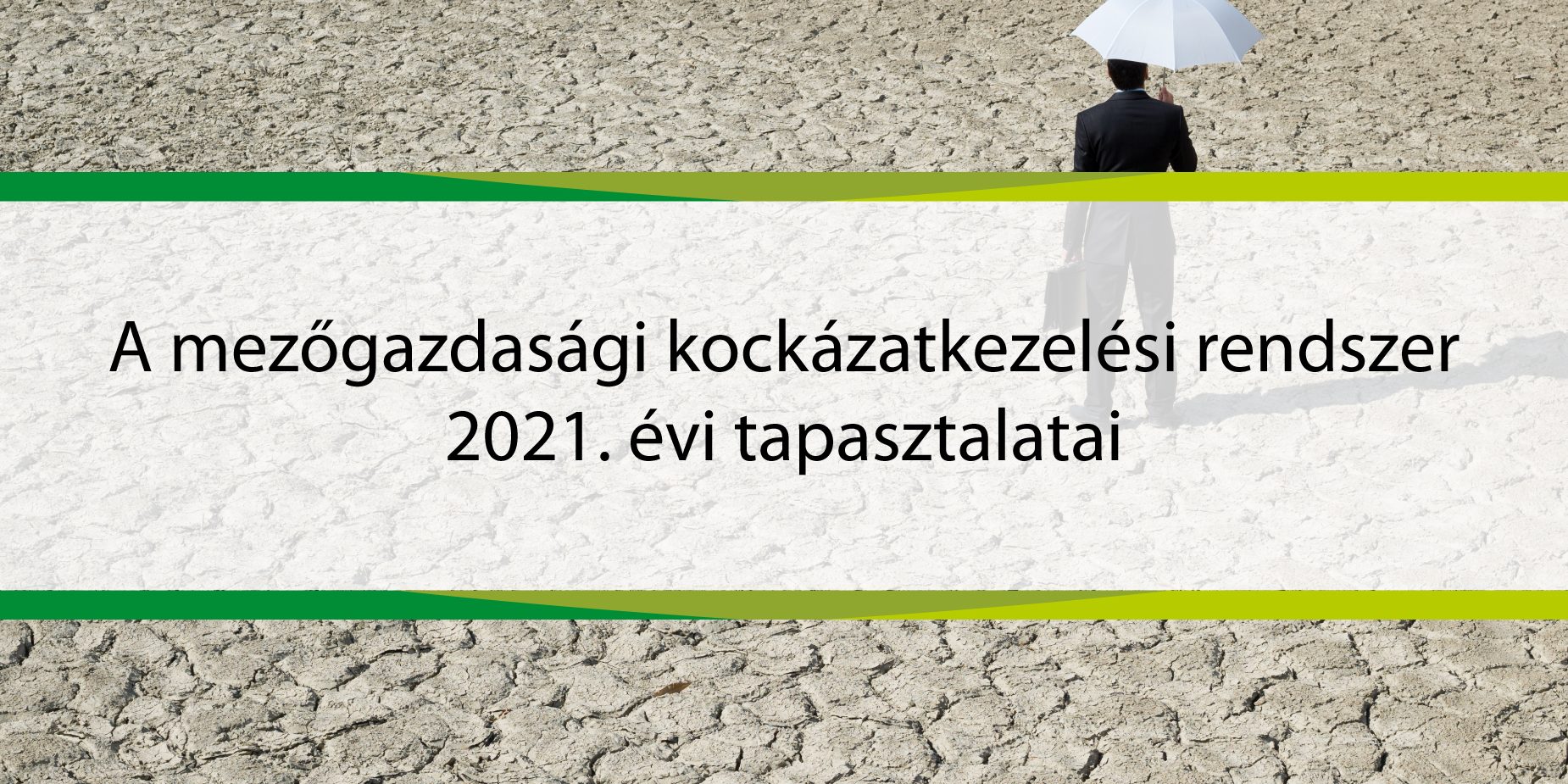 Rendezveny_888_500_kocka_Rajztábla 1