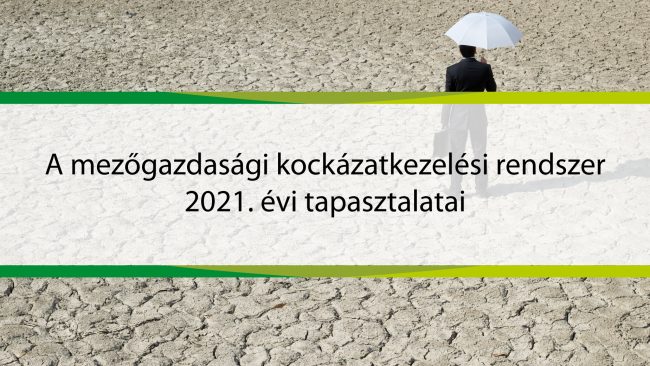 Rendezveny_888_500_kocka_Rajztábla 1