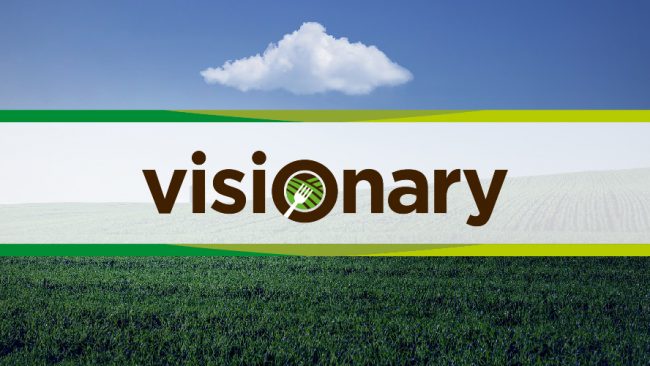 Visionary