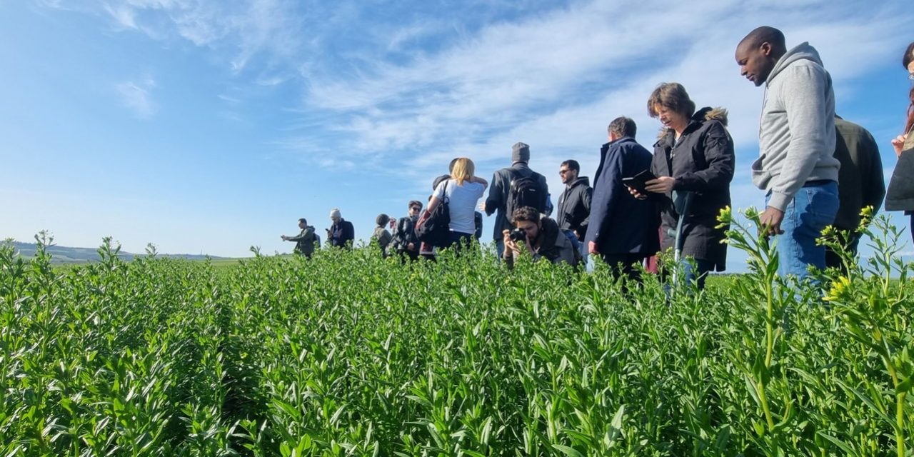 hir_bike _camelina_kep