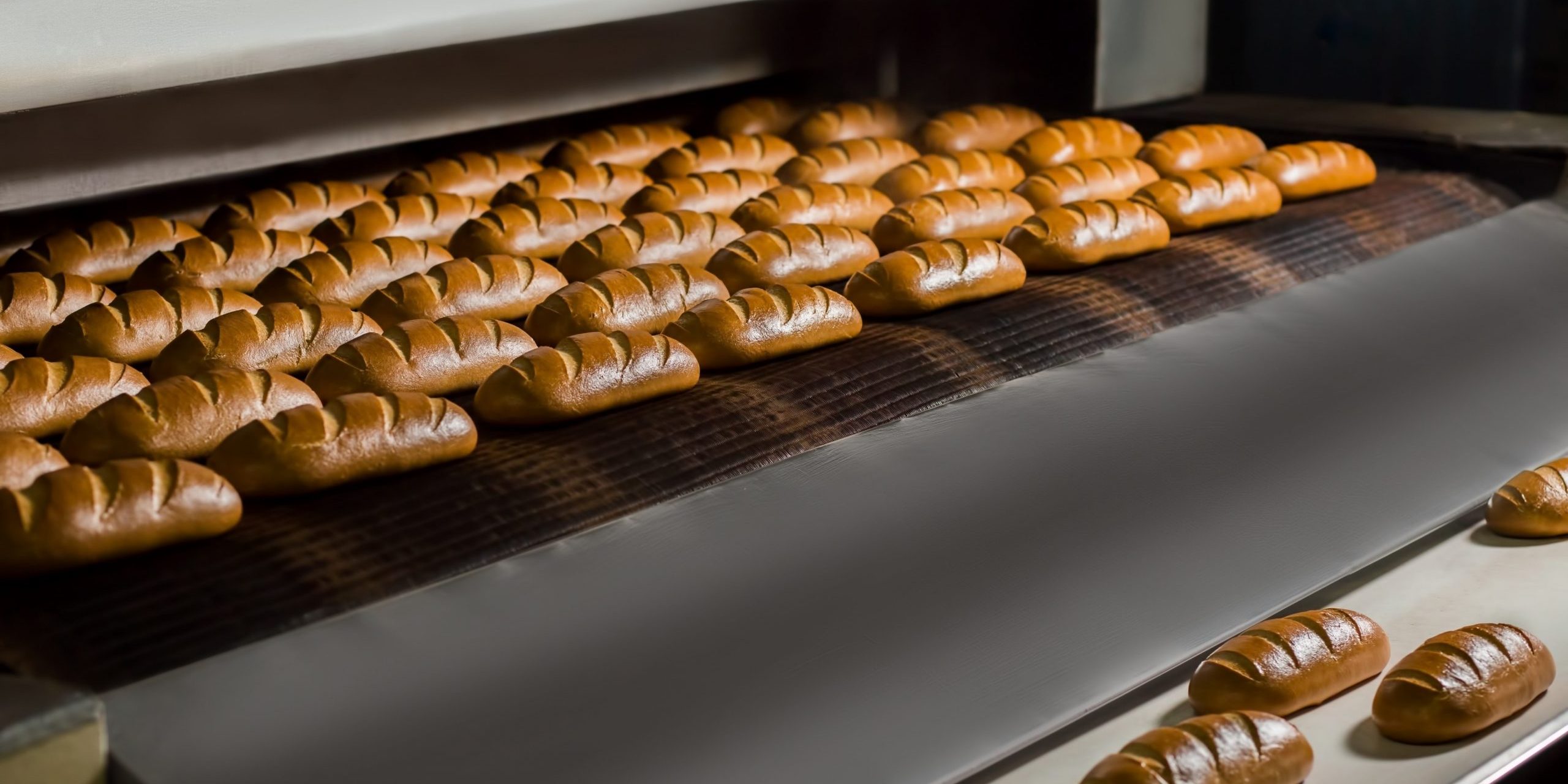 Elemiszeripari_beruhazasok