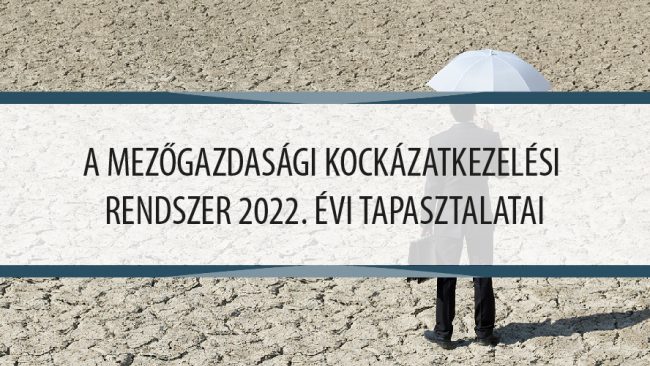 Rendezveny_888_500_2023_Kocka_Rajztábla 1 másolat