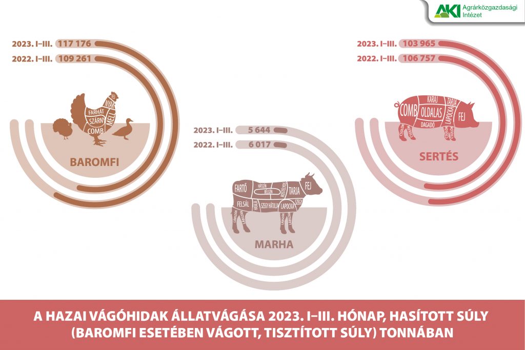 ASIR_vagohidak_2_infografika