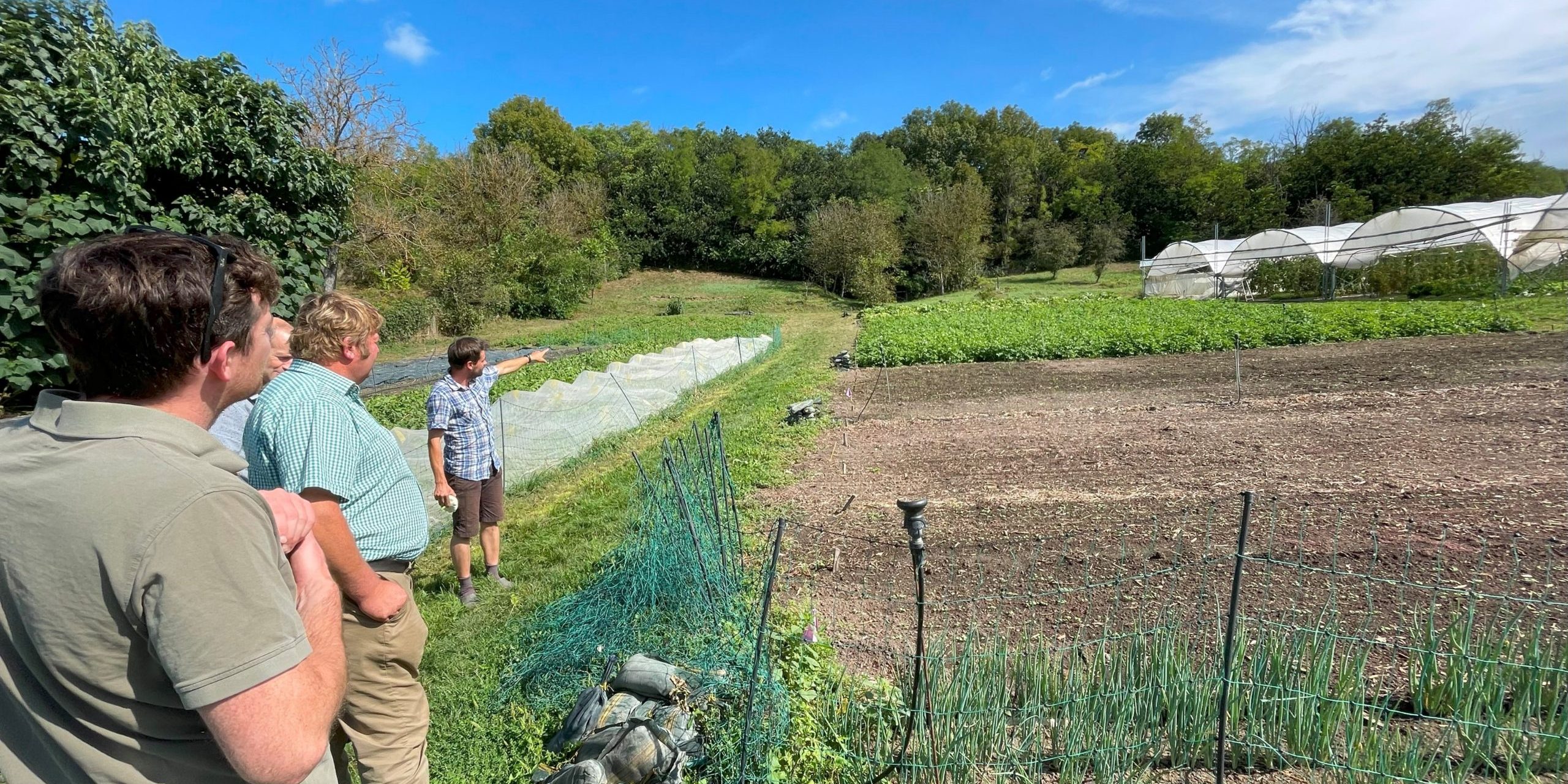 MicrosoftTeams-image (90)