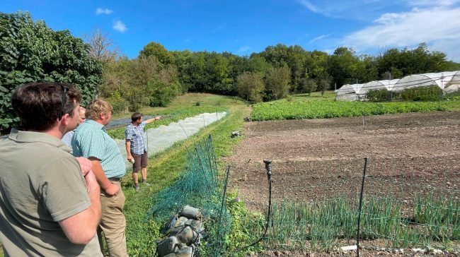 MicrosoftTeams-image (90)