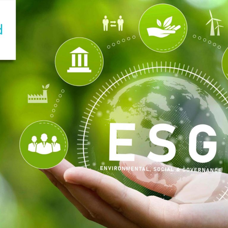 Visegrad Fund kutatási program