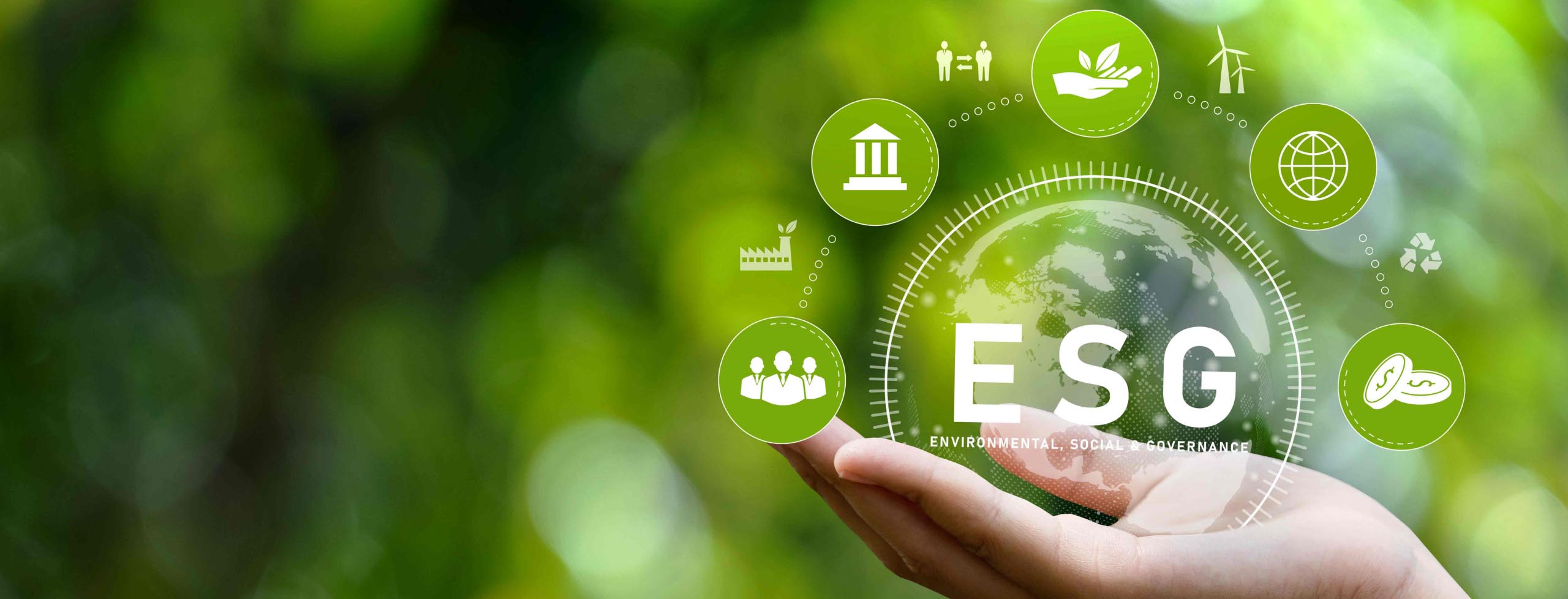 Visegrad Fund V4GreenReporting