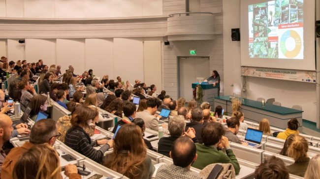 AE Forum 1