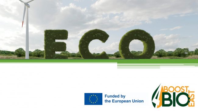 MicrosoftTeams-image (115)