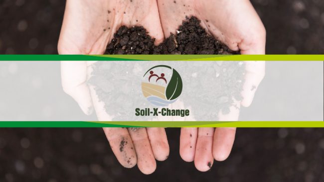 Soil x change