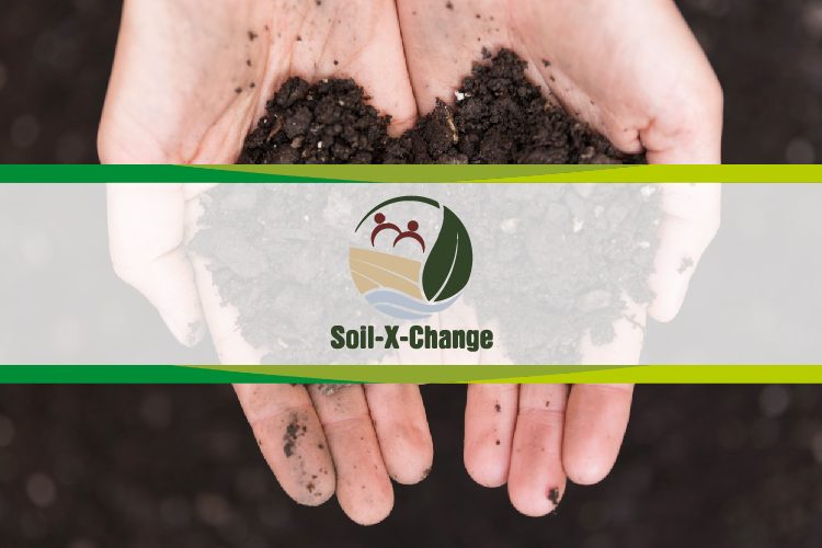Soil x change