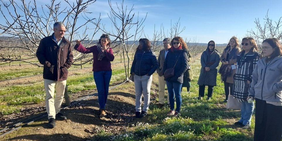 Advisory_Net_PEST_hir_kep