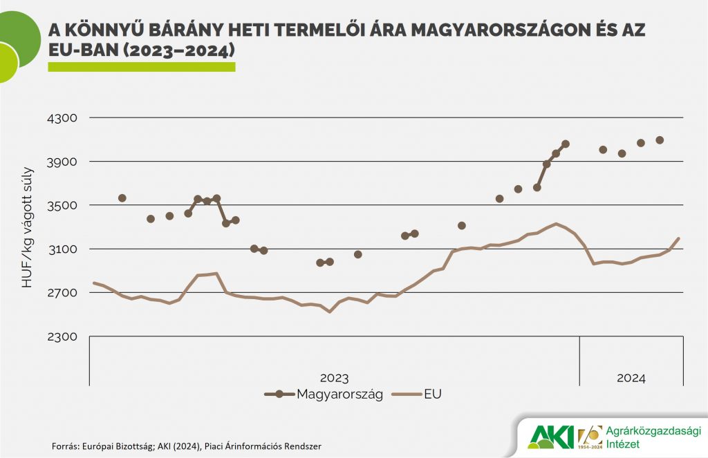 16. ábra: A könnyű bárány heti termelői ára Magyarországon és az EU-ban (2023–2024)