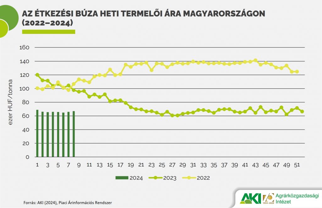 5. ábra: Az étkezési búza heti termelői ára Magyarországon (2022–2024)