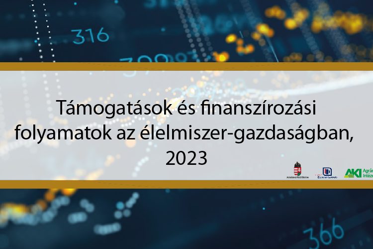 Finanszírozási workshop