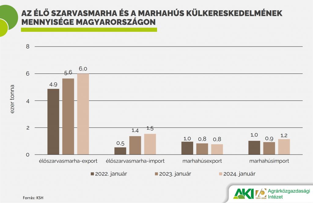 Az élő szarvasmarha és a marhahús külkereskedelmének mennyisége Magyarországon