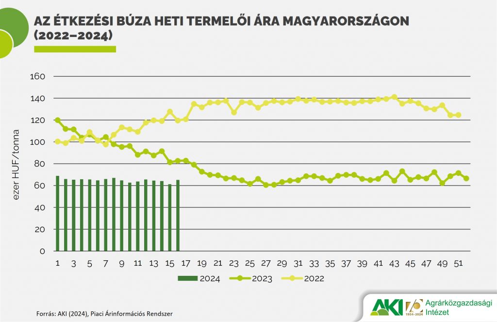 Az étkezési búza heti termelői ára Magyarországon (2022–2024)
