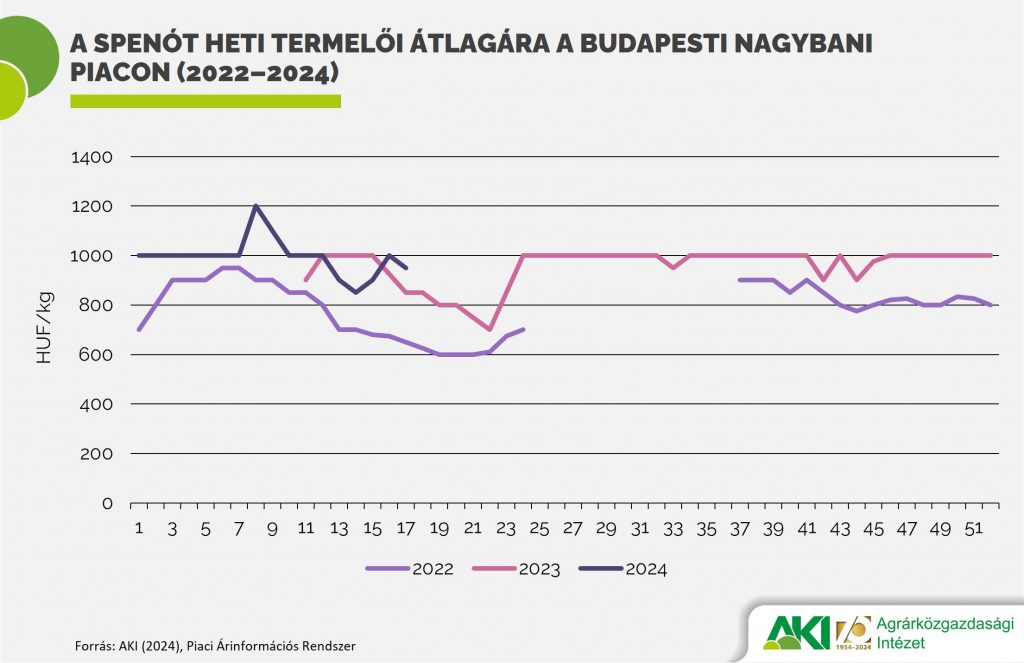 A spenót heti termelői átlagára a Budapesti Nagybani Piacon (2022–2024)