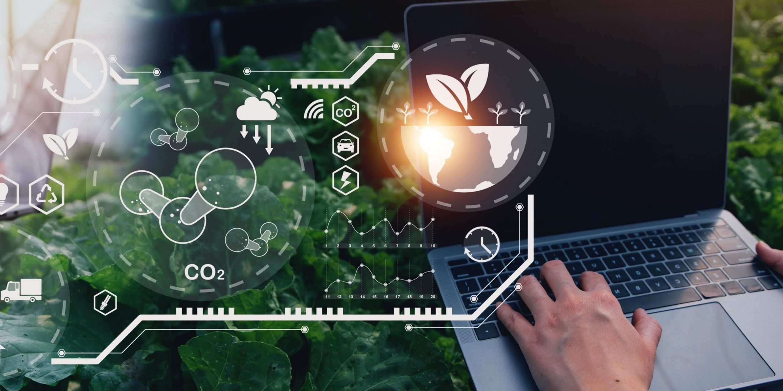 Innováció 2024 web Innováció 2024