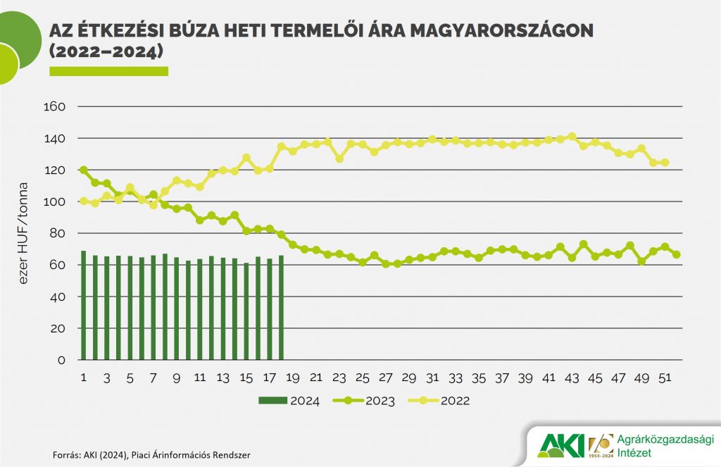 Az étkezési búza heti termelői ára Magyarországon (2022–2024)