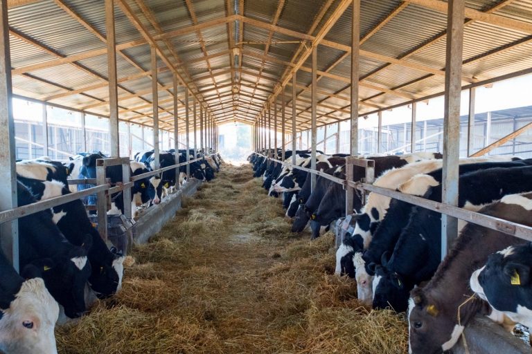 Állattartó gazdaságok takarmányfelhasználása