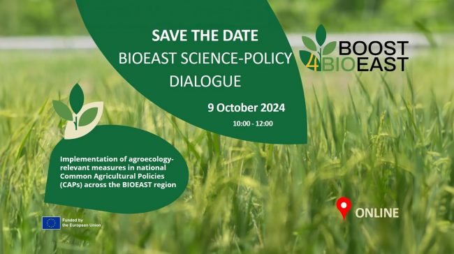 Névtelen-2 másolat