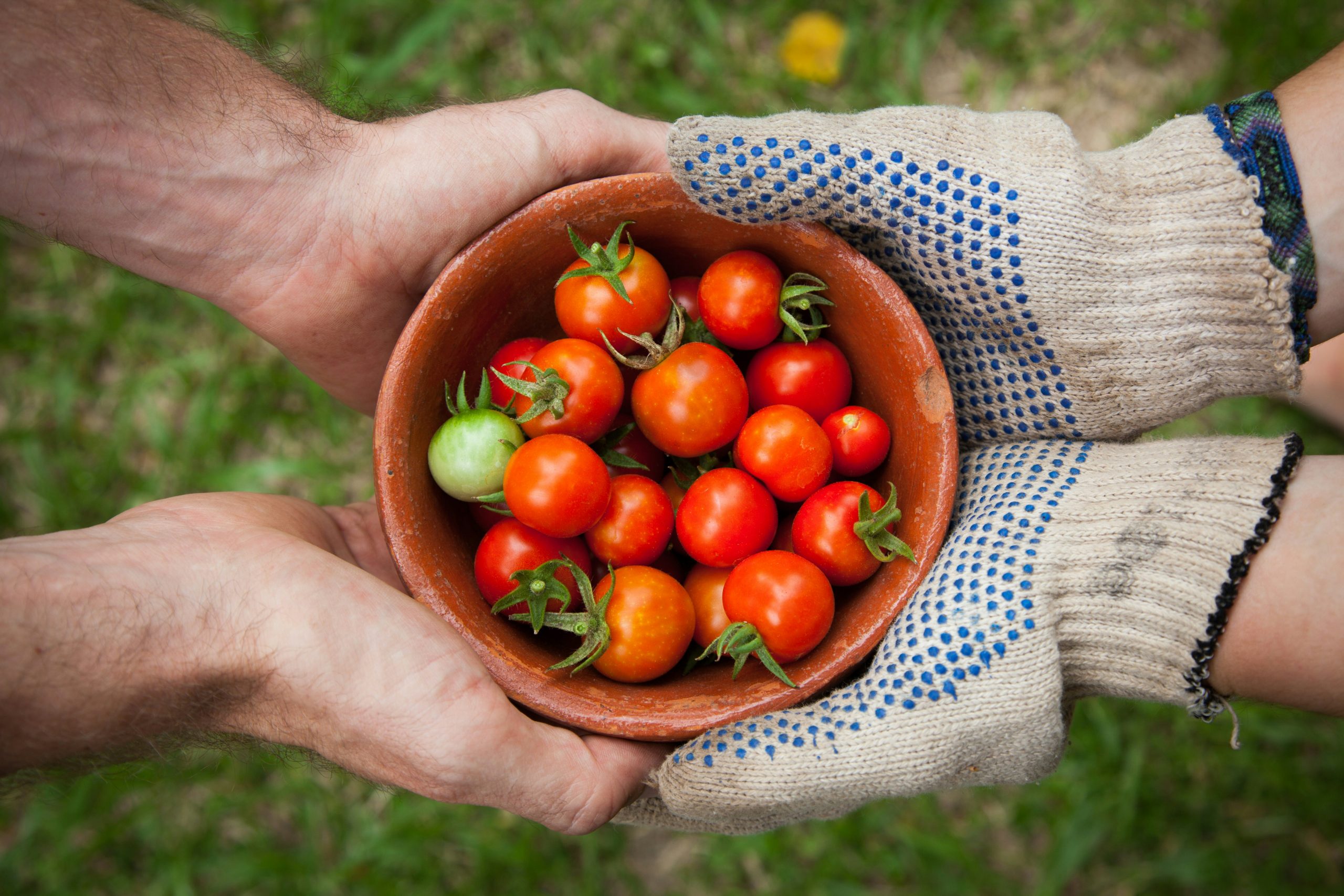 AKI participates in the carbon farming project supported by the European Commission