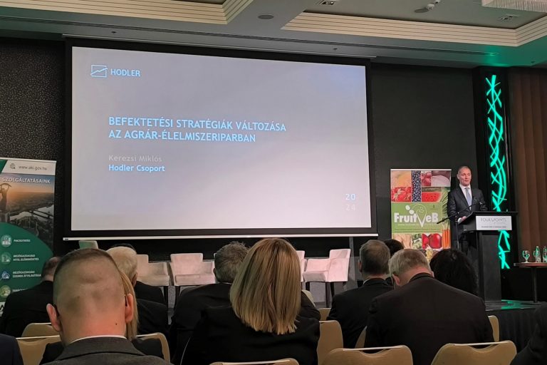 Fruitveb évzáró 2024