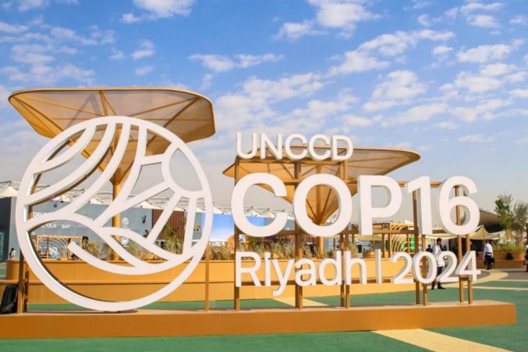 ENSZ konferencia, Rijád