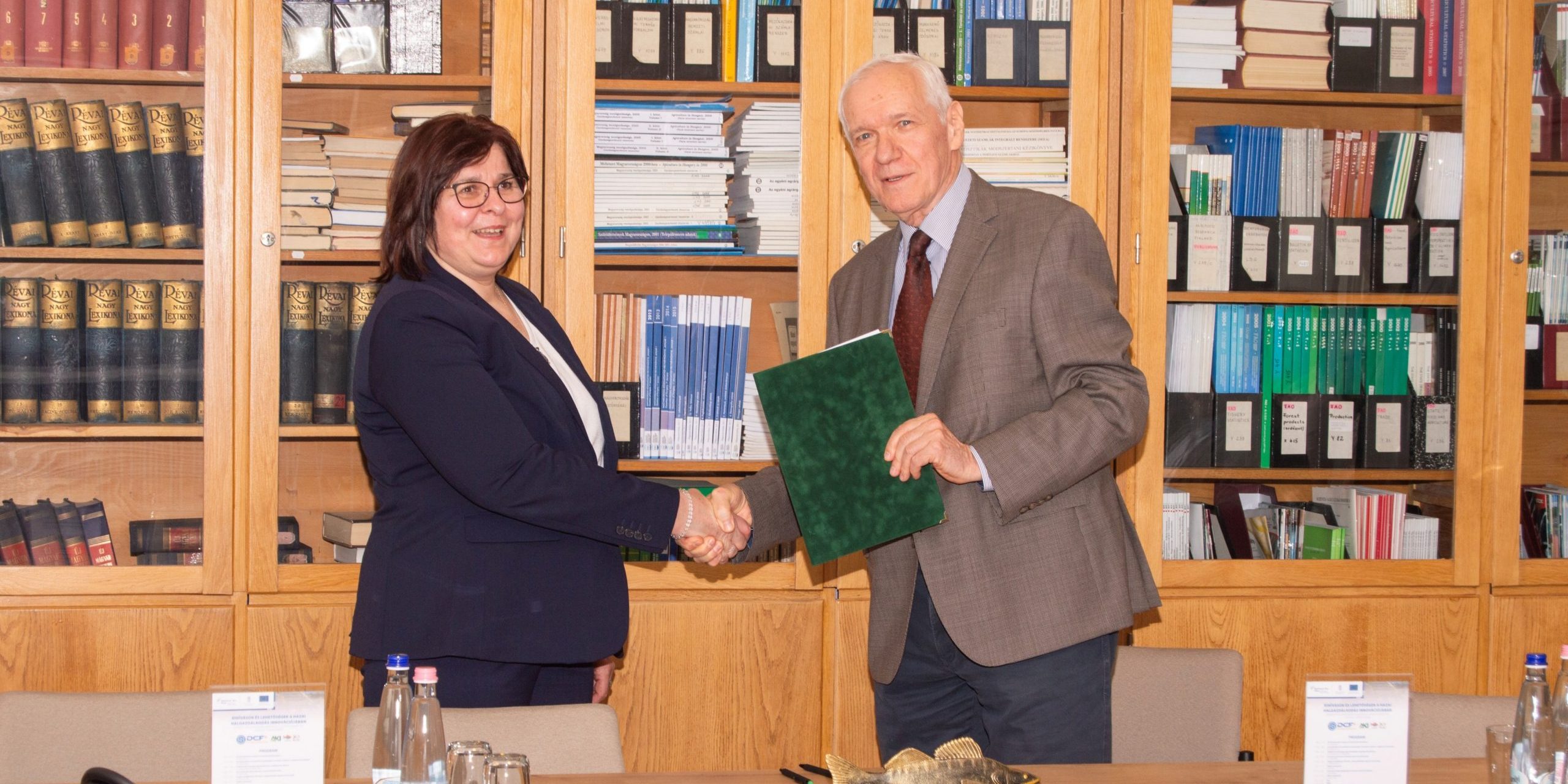 DCF3 cikk DCF3 konferencia