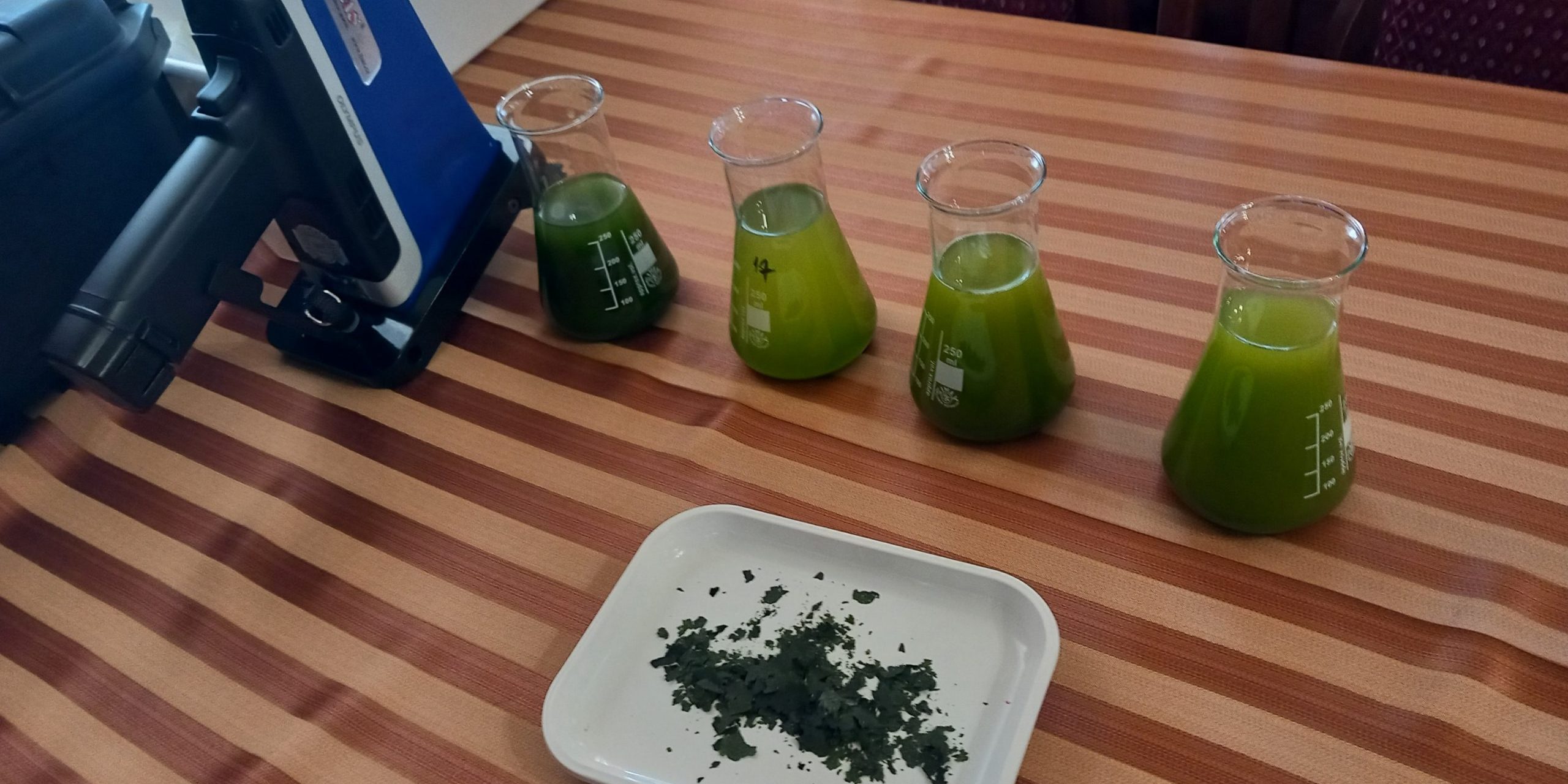 NENUPHAR nemzetközi szakértői találkozó és workshop Búcson