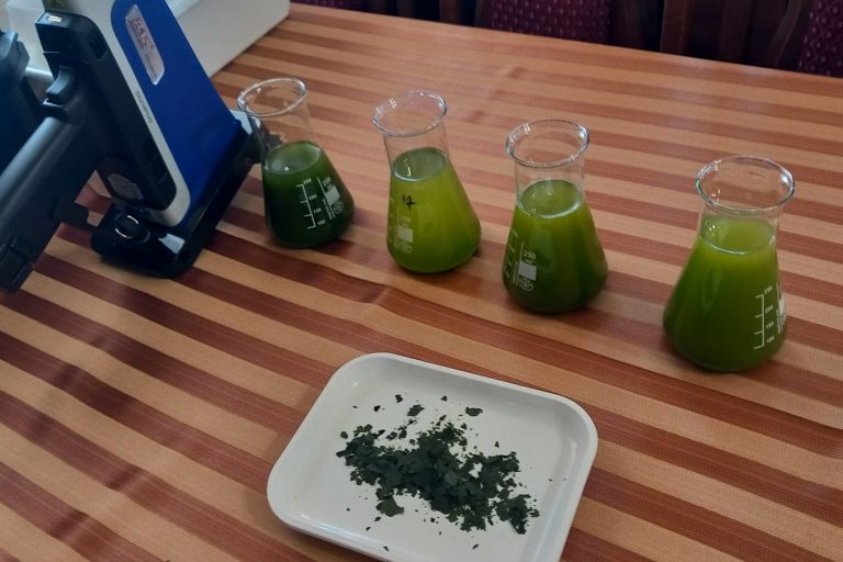 NENUPHAR nemzetközi szakértői találkozó és workshop Búcson