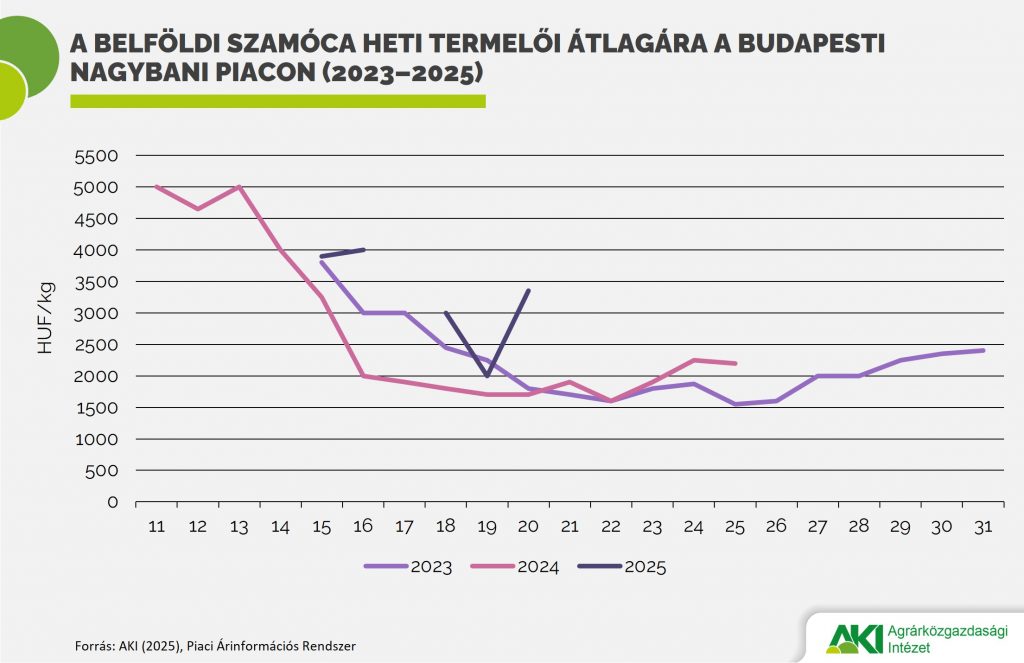 PAIR_zgy_10_2025_abra A belföldi szamóca heti termelői átlagára a Budapesti Nagybani Piacon (2023–2025)