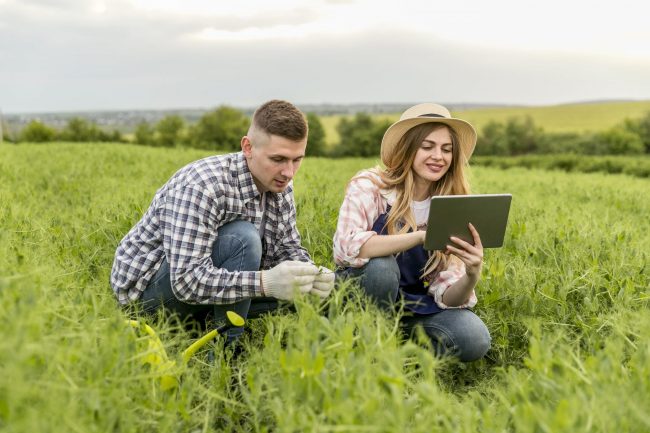 couple-working-farm-with-tablet