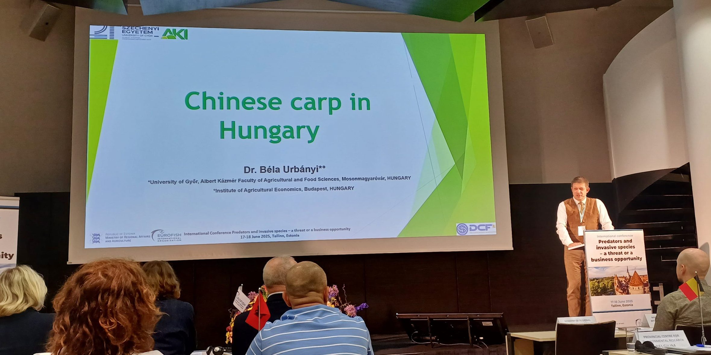 Foto4_Keszitette_Kovacs_Bence