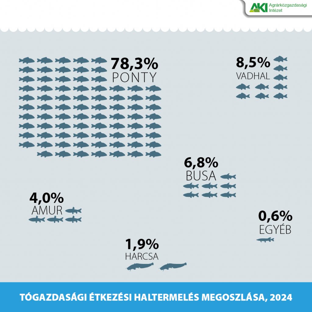 Lehalaszas_2025_Lehalászás másolat Lehalászás 2025/1