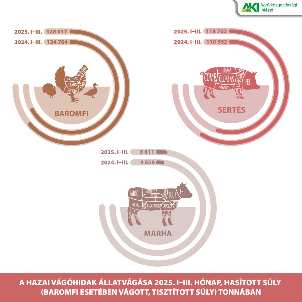 Vagas 2025_2_Vagas-01 Vágás 2025/2
