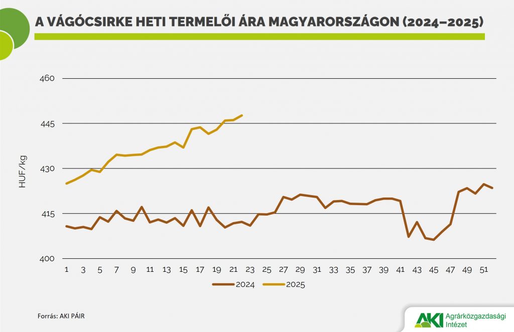 Vágócsirke Baromfi 2025/11