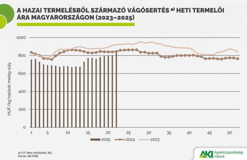Vágósertés Élő állat 2025/11