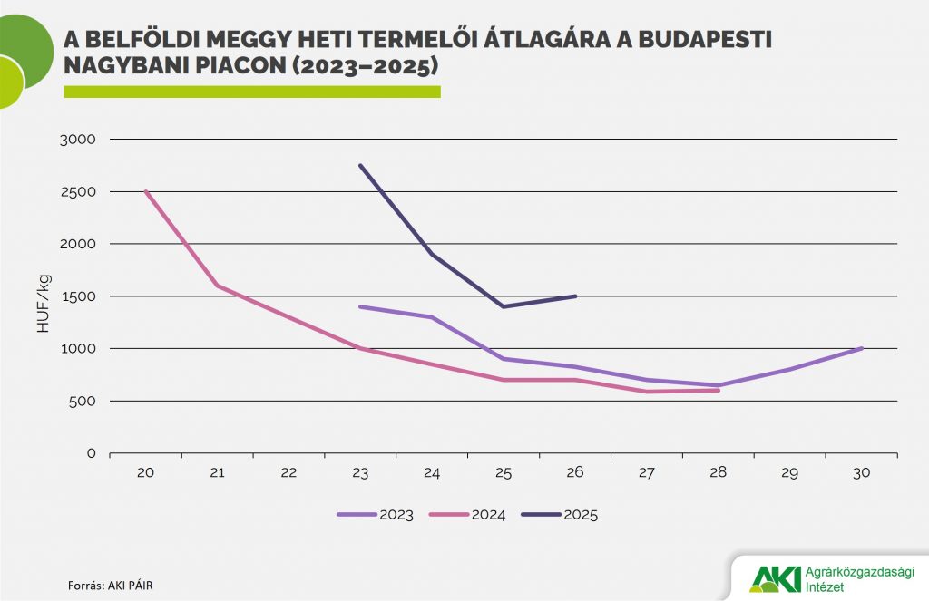 ZGY 2025/13.