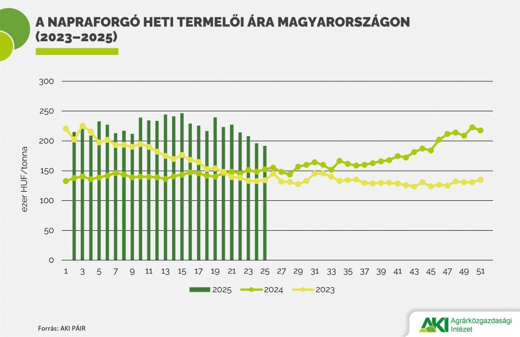 Gabona 2025/13