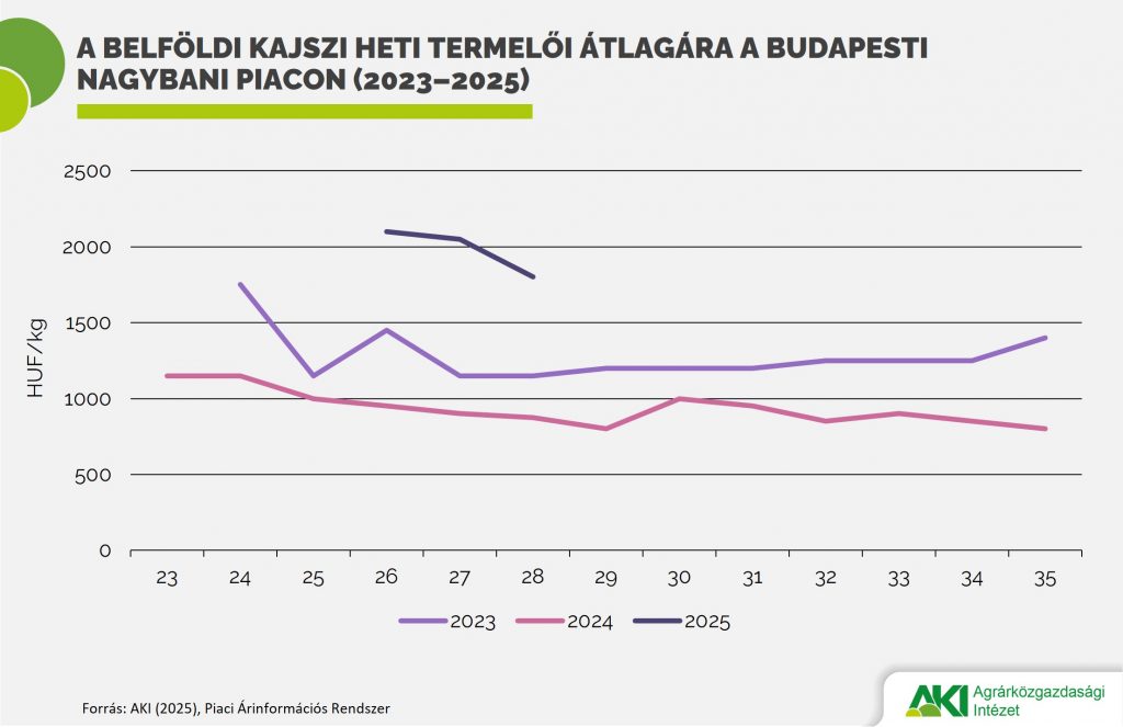 PAIR_zgy_14_2025_abra A belföldi kajszi heti termelői átlagára a Budapesti Nagybani Piacon (2023–2025)