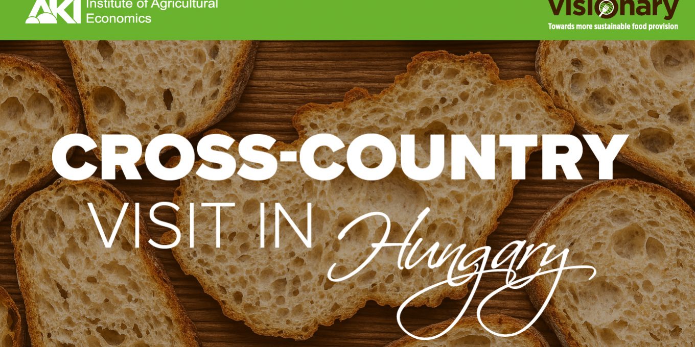 Visionary_banner_KG_Banner 2