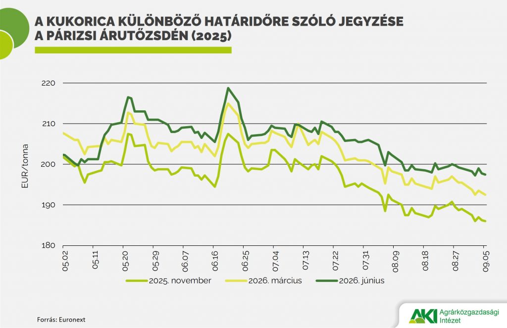 Kukorica_jegyzése